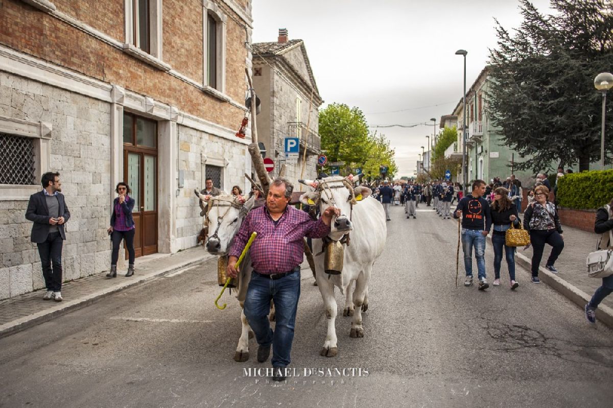 S. Antonio a Santa Croce di Magliano